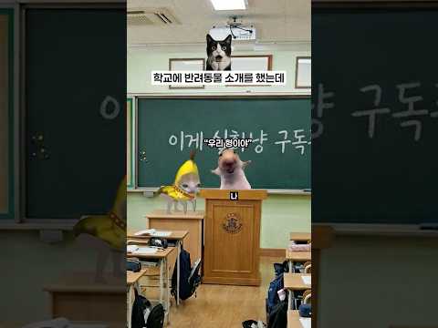 학교에 반려동물 소개를 했는데...