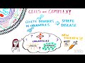 Cell Organelles and Their Functions