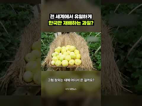 너 대체 어디서 왔니?｜크랩