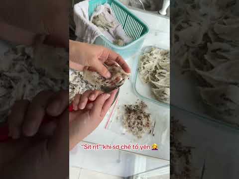 Đây chỉ là bước đầu tiên trong quá trình sơ chế tổ yến - loại bỏ tạp chất, những phần bị bẩn.