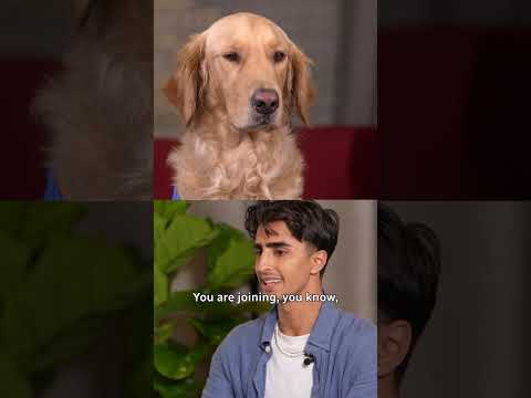 Air Bud is back and it stars a very good boy