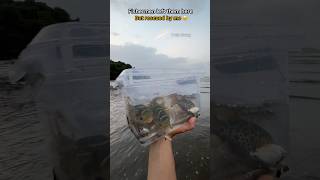 Fishermen left them behind… I couldn’t 🥹