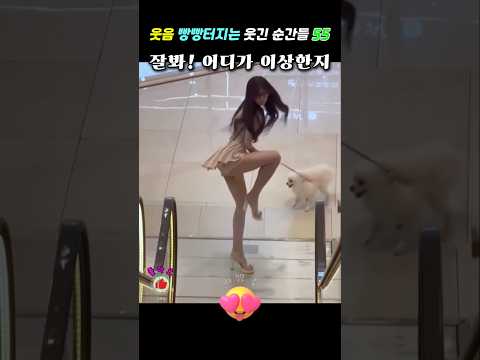 웃음 빵빵터지는 웃긴 순간들 55 ㅋㅋ