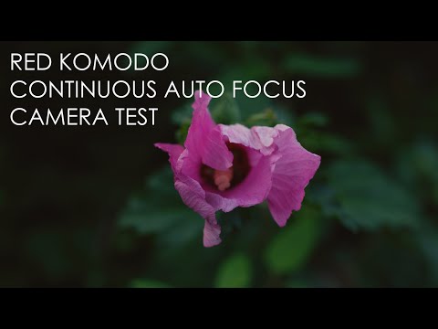 RED KOMODO | CONTINUOUS AUTO FOCUS TEST | SIGMA 50mm 1.4 | Middleburg, Virginia