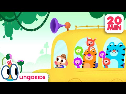 WHEELS ON THE BUS Goes to the JUNGLE!🌴🚌  + More Adventurous Songs | Lingokids