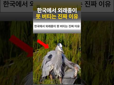 한국에서 외래종이 못 버티는 진짜 이유