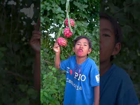 Outdoorfood SIMPLE and USEFUL NEW IDEA UNLOCKED Dragon Fruit In Forest #survival #forest #outdoor