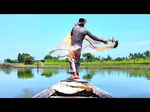 Most Popular Cast Net Fishing in Village River - Net Fishing With Beautiful Boat Natural (Part-30)