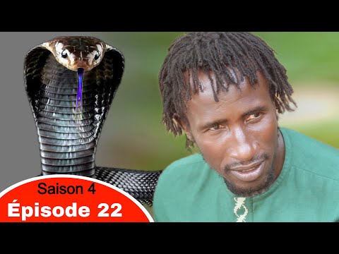 Nara le serpent Épisode 22 Saison 4