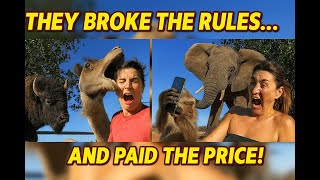When Animals Fight Back | Stupid Tourists Who Crossed the Line
