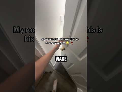 The Loudest Alarm Ever