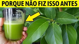 DIABETES cai para 90 na hora! Acaba a DOR NO CORPO, Colesterol e Melhora a PRESSÃO