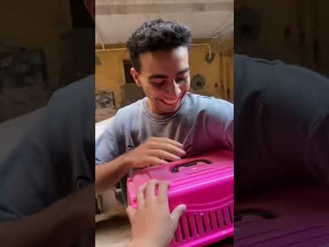 سُوو القطه مطلعتش سُوو 😪