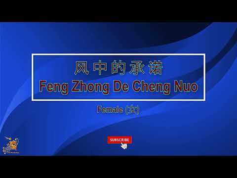 風中的承諾 (Feng Zhong De Cheng Nuo) Female – Karaoke Mandarin