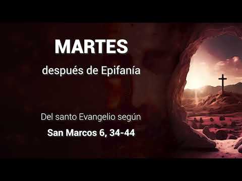 Evangelio del martes 7 de enero 2025 - Martes después de Epifanía