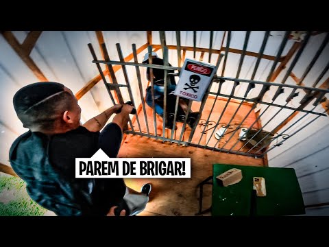 0S DETENT0S SAÍRAM NA P0RR4DA DENTR0 DA PRISÃ0…