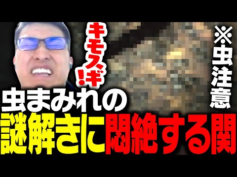 虫が大量発生する謎解きで悶絶する関優太【SILENT HILL 2】