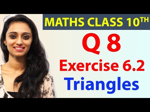 Q 8 Ex 6.2, Triangles, Chapter 6, Maths Class 10th - NCERT