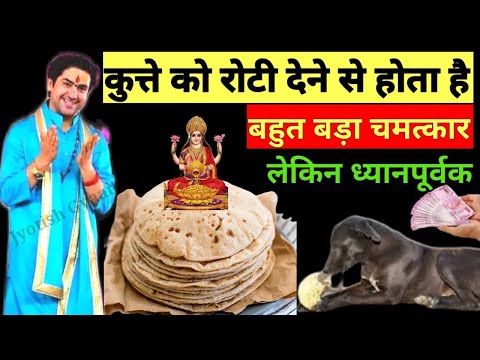 कुत्तों को रोटी खिलाने से होते हैं ये चमत्कारी फायदे | बागेश्वर धाम सरकार | Bageshwar Dham