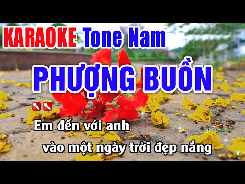 Phượng Buồn Karaoke Tone Nam Dễ Hát – Nhạc Sống Thanh ngân