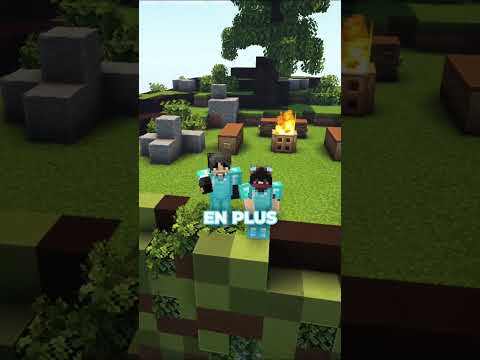 ⬆️ Rejoins le Discord en bio - Il y a deux types de joueurs sur mon serveur minecraft !