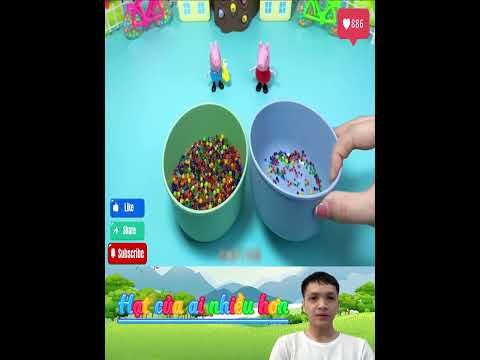 Hạt của bạn heo nào nhiều hơn #shorts