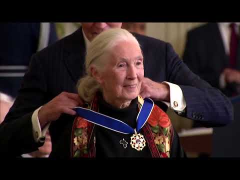 YouTube video thumbnail: Renowned Primate Expert Jane Goodall Dies at 91