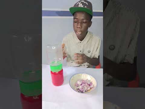 I made a blender with plastic