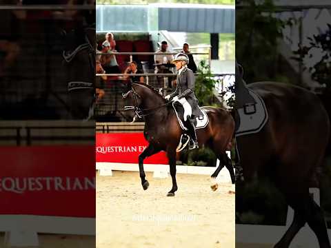 I actually hate this but what ever 😭 #roadto2k #horse