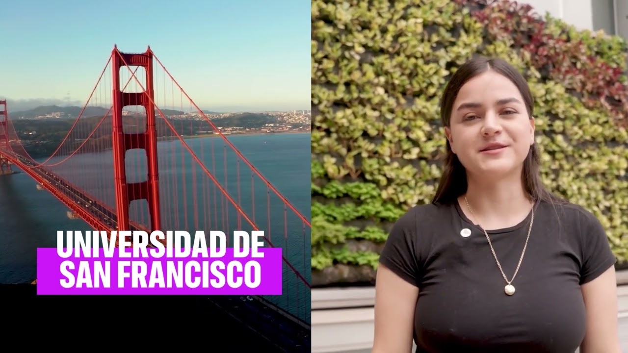 Ingeniería de la Información