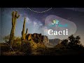 Cacti Adaptations and Characteristics