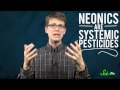 Understanding Colony Collapse Disorder and Its Impact