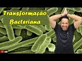 Transformação Bacteriana e DNA