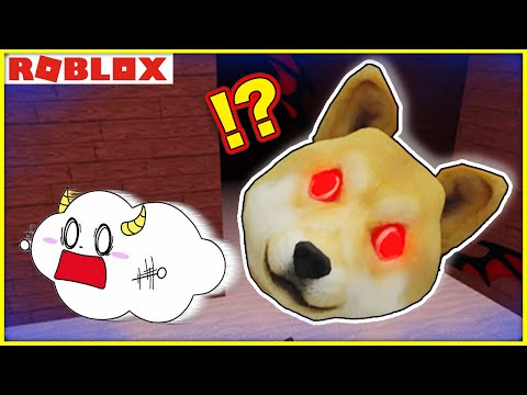 巨大な顔の犬から逃げて子猫を救い出せ！【ロブロックス・ROBLOX】｜ゲーム実況｜★サンサンキッズGAMES★