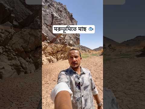 মদিনার গভীর অঞ্চলে