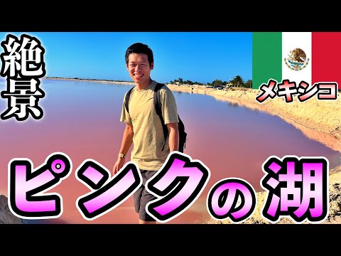 【メキシコの絶景】ピンクレイクツアーに参加したら想像以上だった・・・【世界一周】