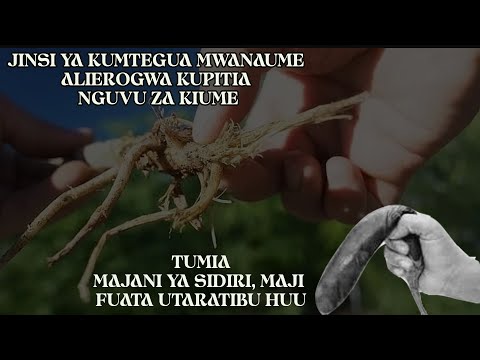 JINSI YA KUUTOA UCHAWI ULIOROGWA KUPITIA NGUVU ZA KIUME || NA UKAWA KAMA ZAMANI || SHEIKH SHAABAN