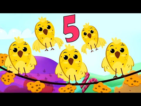 Five Little Birds : Yellow Birds and + more  Nursery Rhyme for Kids