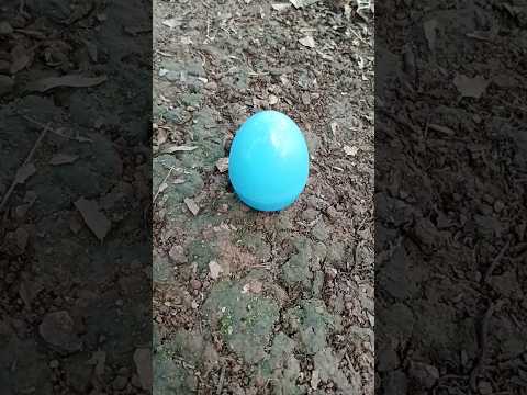 new small blue egg #eggs #egg #horror #creepy #scary