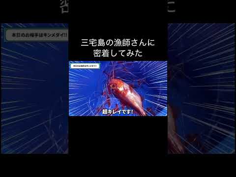 三宅島の漁師さんに密着してみた【shorts】