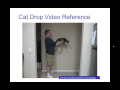 Understanding Terminal Velocity Concepts