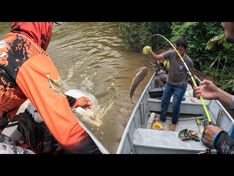 Amigos de la Pesca capitulo 7:  De pesca y acampada en Tame Arauca.