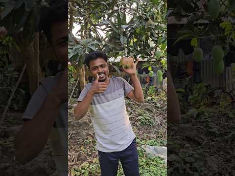 Mango Experiment | 🥭 | #minivlog #shorts #shortvideo