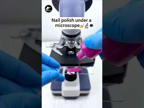 😱Microscope உலகம் எப்படி இருக்கும்னு பாக்கலாமா | Facts Tamizhachi_Fact In Tamil_#shorts