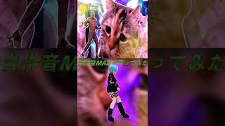 Vtuberなんだが猫ミーム音MAD作ったので踊ってみた。#音mad #vtuber #音ハメ #猫ミーム #ミーモダンシング #踊ってみた
