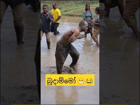 මාමේහ් ඇයි 😁😂 #dance #funnydance #weddingdance #funnymemes #funny #slmemereview #srilankanathalmeme