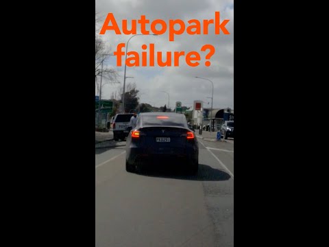 Autopark failure Tesla Model Y? #shorts