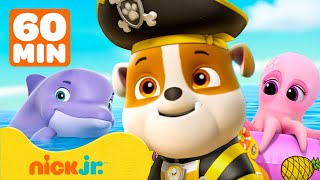 Psi Patrol | Pirat Rubble i Psi Patrol ratują morskie zwierzęta! | Nick Jr. Polska