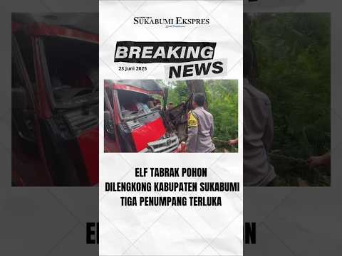 Elf Tabrak Pohon di Lengkong Sukabumi, Tiga Orang Penumpang Alami Luka-luka