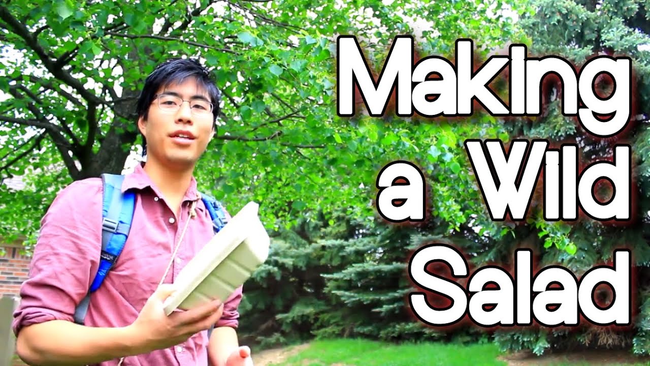 Edible Trees - Foraging a Wild Flower and Leaf Salad in the Spring - Bushcraft - AdventureArchives